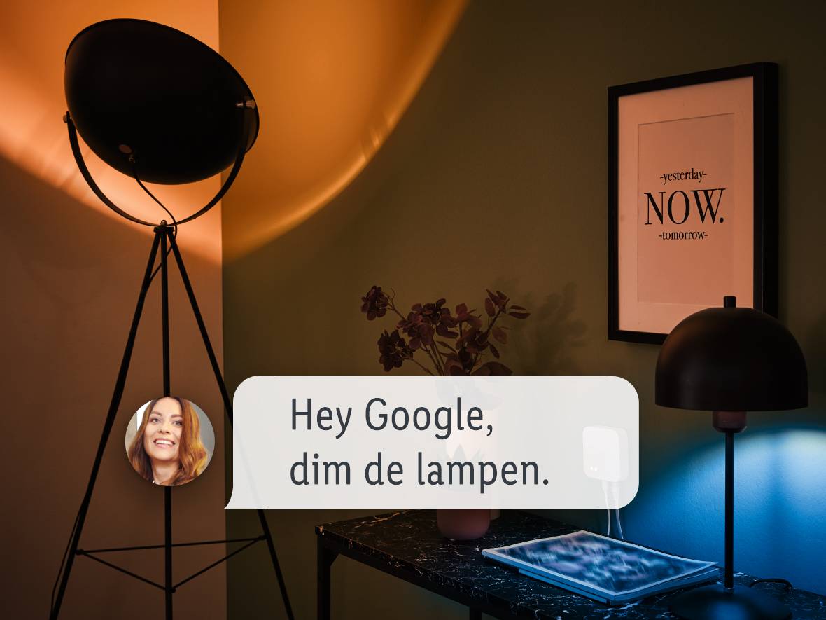 Google Assistant: je hebt een stem gekregen, gebruik ze